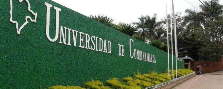 610a0209663a7cbb52ba9153bf26e1c5