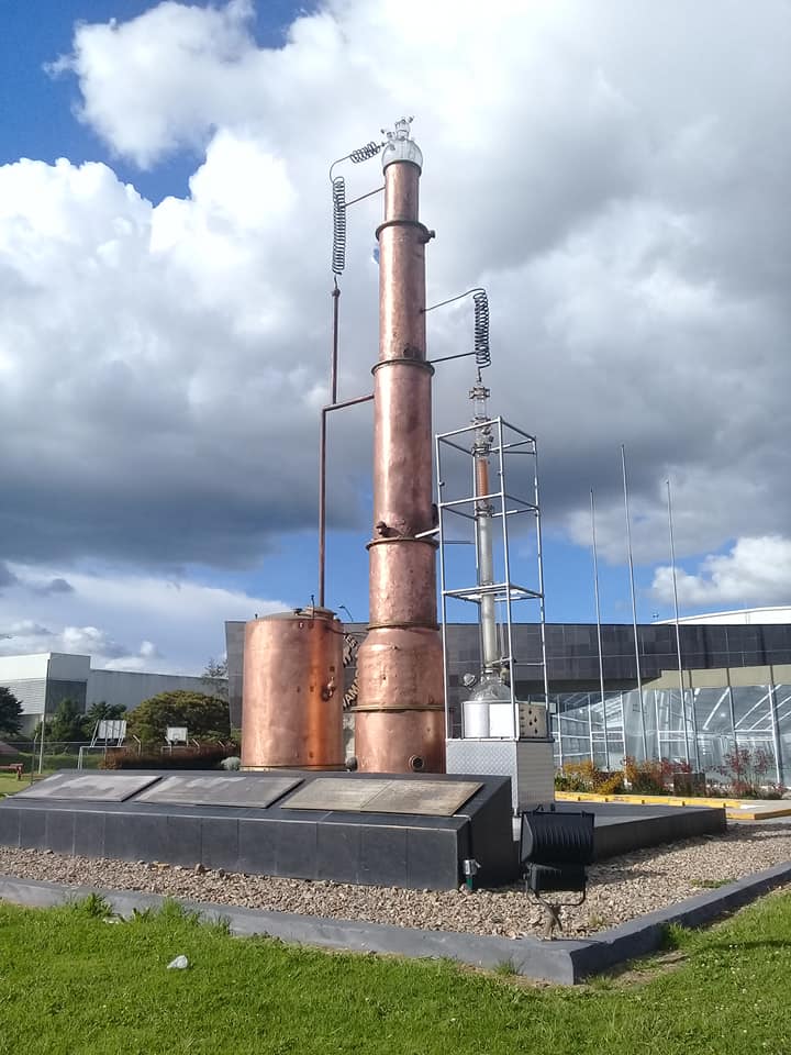 73002098 10221160576143917 1742216302090518528 n