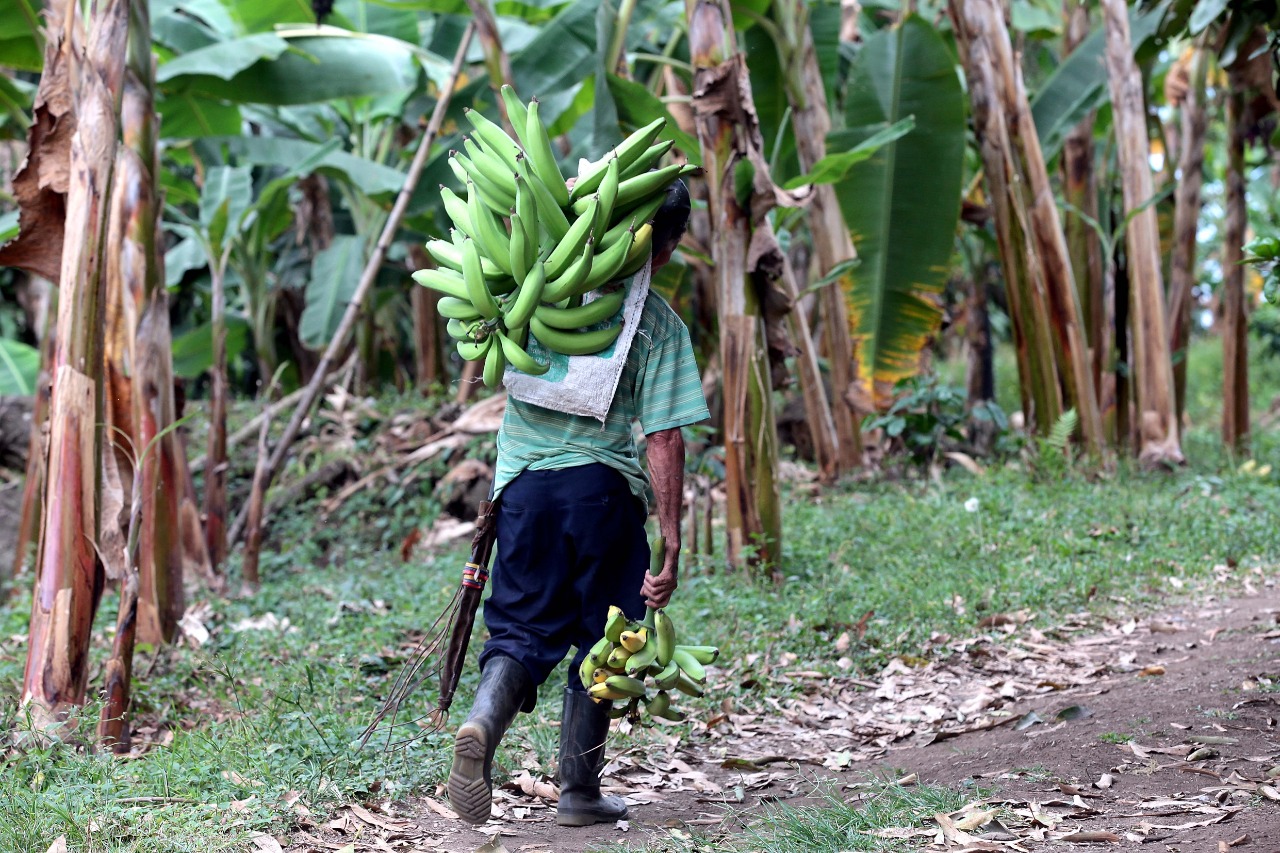 WhatsApp Image 2020 12 29 at 5.22.29 PM