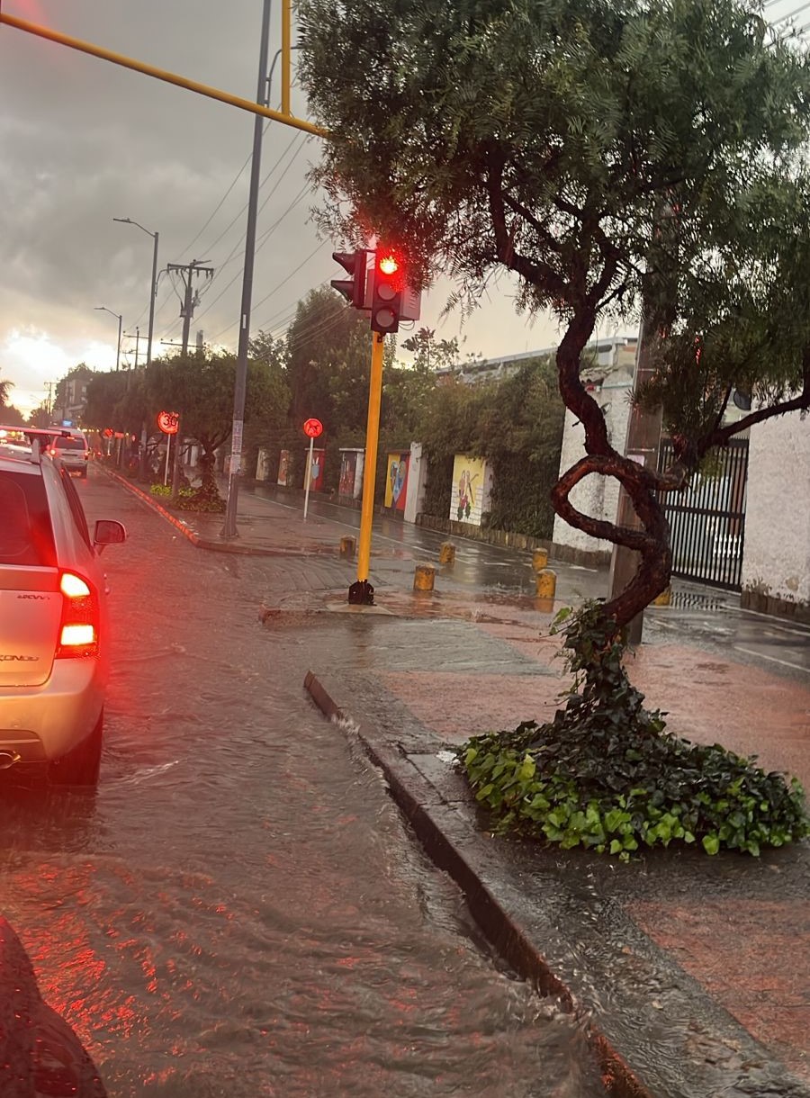 WhatsApp Image 2024 11 08 at 11.58.29 AM